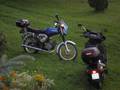 Honda Spacy i Simson S50B
