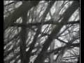 UFO footage - Bloomington IN -JAN 2006