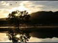 Cranes Return to Winter Home at Bosque del Apache