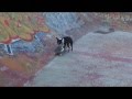 Montpellier skatepark Part 6