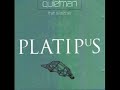Quietman - The Sleeper