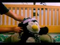 Es un pinguino bailando psychoooo jajaja Atound the world of Phananda remix Dr Pyro