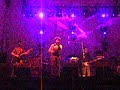 Buenos Muchachos - Temperamento Buenos Muchachos - Temperamento