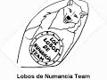 lobos de numancia team:musher pablo nuñez jimenez