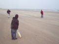 Cricket in winter