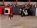 Los Porretas : La de los Toros