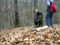 Dog Ruins Proposal Video