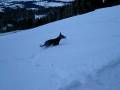 videos de Gino, im Schnee, 1