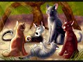 Let the cats of the clans speak!!!