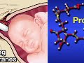 If you're considering inducing labor, you may have wondered: how is labor induced? Check out more at Pregnancy.Healthguru.com