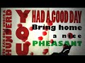 Golf Comedy Typography