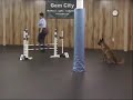 8-7-10 UKC agility - 3 runs.wmv