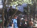 Symbiosis 06 - Forest Stage
