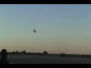 Vuelo invertido