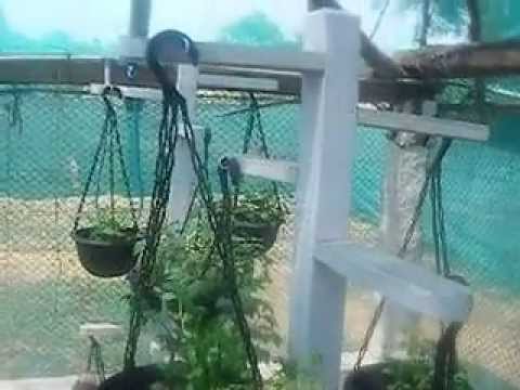 farmcum