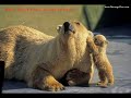 Asl? G�ng�r Ah ?u �alan Sark?m?z Yarim Yarim