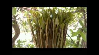 Yemeni Musicاليمن - احمد الحرازي - مع السلامه قد نويت السفر