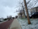 Snowy Oddities with Tylor and Dittmer