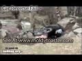 Car Reverse Fail  -.mov