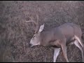 Filming Hunts? What Not To Do