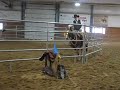 Scotch Colt Camp