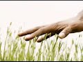 Principios de Ecología Universal . Sabiduria Vedica