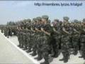 armée algerienne