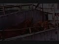 Slaughterhouses Revealed