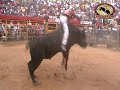 Rancho El Canelo vs R. Poches en la Monumental de Morelia Michoacan 2012.