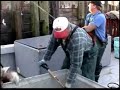 Unloading Longline Cod Unloading Longline Cod