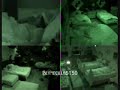 BB10 Renny, Keeshit & Labia in bed. 2:33am pdt!