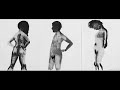 about marlene dumas and her art

marlene dumas
text written by patricia ellis

