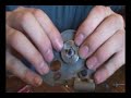 Rustler transmission dissassembly Part 2