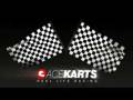 Trent from Punchy at Acekarts Melbourne 2008