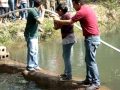 cumplañeros de casta de campeones,ministerio internacional la cosecha,comayagua,honduras 1