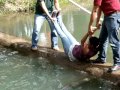 cumplañeros de casta de campeones,ministerio internacional la cosecha,comayagua,honduras 1
