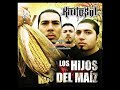 Los Hijos Del Maiz- Kintosol