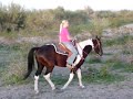 Rainbows Cruiser 3