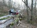 Unimog 421 extracting timber