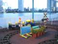 videos de Train ride