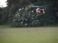 Honeybee king 2 RC Helicopter hovering and flying in park