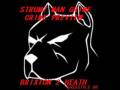 videos de STRUMZ MAN GRIME CRIME PREVIEW