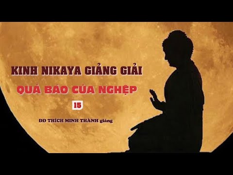 Kinh NIKAYA Giảng Giải – Quả Báu Của Nghiệp 15