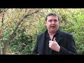 Beechworth Testimonial - Andrew