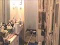 The Bathroom Remodel