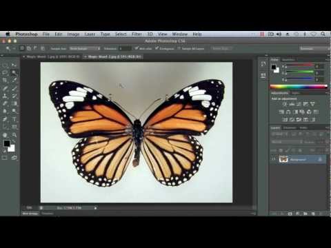 how to use the magic wand tool