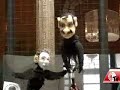 Cucarachas en Sanborns