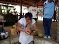Man Chews Open Coconut With His Teeth Man Chews Open Coconut With His Teeth