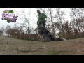Click to View : Adiestramiento canino. Sentado