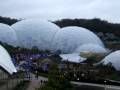 videos de Eden Project Christmas 2008
